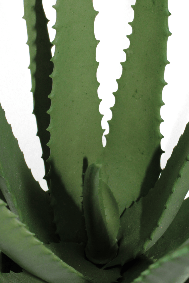 Details Aloe vera kunstplant 45cm