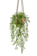 Asparagus Sprengeri kunst hangplant 75cm